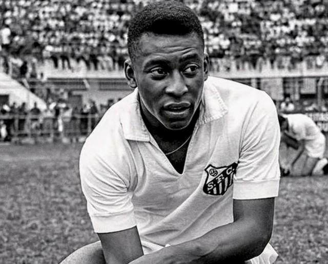 1672159757333031061.jpg 贝利.jpg